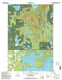 Little Bowstring Lake 1996 topographic map thumbnail