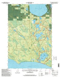 Pigeon Dam Lake 1996 topographic map thumbnail