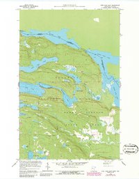Pine Lake East 1959 topographic map thumbnail