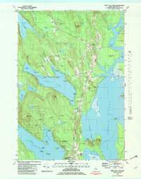 Beech Hill Pond 1981 topographic map thumbnail