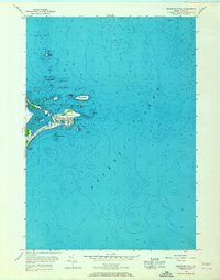 Biddeford Pool 1956 topographic map thumbnail