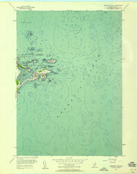 Biddeford Pool 1956 topographic map thumbnail