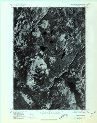 Black Brook Pond 1977 topographic map thumbnail