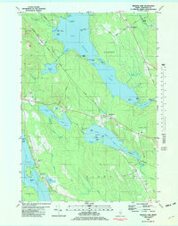 Branch Lake 1981 topographic map thumbnail