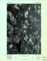 Depot Lake 1976 topographic map thumbnail