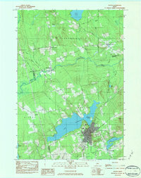Dexter 1984 topographic map thumbnail