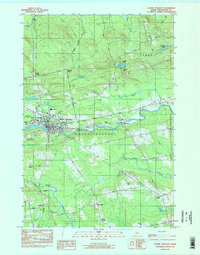 Dover-Foxcroft 1983 topographic map thumbnail