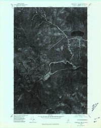 Mooseleuk Lake NE topographic map thumbnail