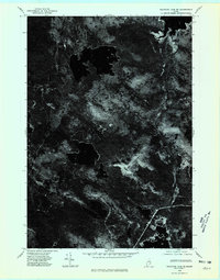 Nicatous Lake SE topographic map thumbnail