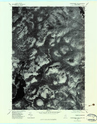 Parmachenee Lake 1977 topographic map preview