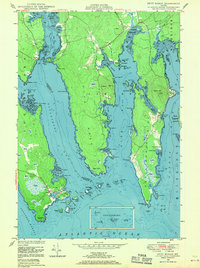 Petit Manan 1948 topographic map thumbnail