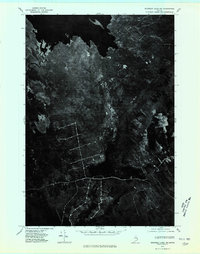 Scraggly Lake NE topographic map thumbnail