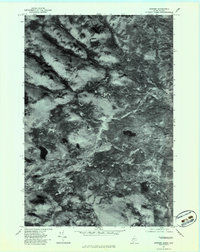 Skinner 1977 topographic map thumbnail