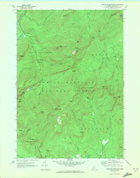 Speckled Mountain 1970 topographic map thumbnail