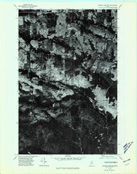 Square Lake NW topographic map thumbnail