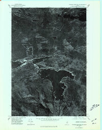 Traveler Mountain NE topographic map thumbnail