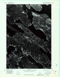 Wabassus Lake NW topographic map thumbnail
