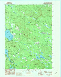 West Newfield 1983 topographic map thumbnail