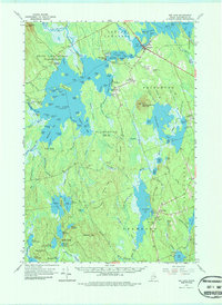 Big Lake 1963 topographic map thumbnail