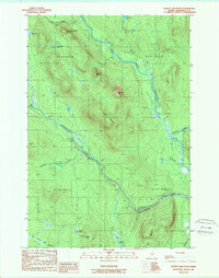 Deasey Mountain 1989 topographic map thumbnail