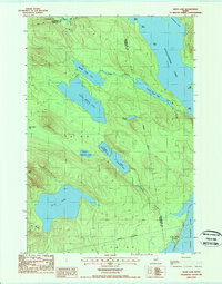 Duck Lake 1987 topographic map thumbnail