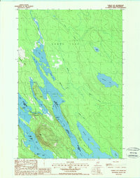 Forest City 1988 topographic map thumbnail