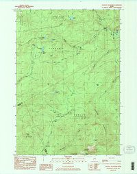 Jackson Mountain 1984 topographic map thumbnail