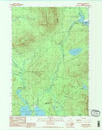 Kennebago 1990 topographic map thumbnail