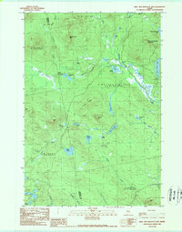 King and Bartlett Mtn topographic map thumbnail