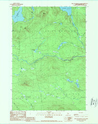 King and Bartlett Lake 1989 topographic map thumbnail