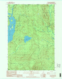 Lincoln Pond 1990 topographic map thumbnail