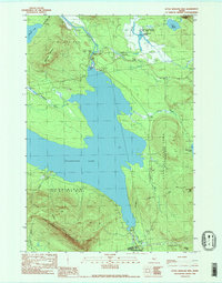 Little Bigelow Mtn 1989 topographic map thumbnail