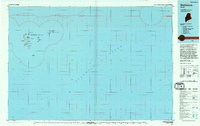 Matinicus 1994 topographic map preview