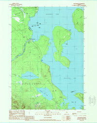 Moosehead 1989 topographic map thumbnail