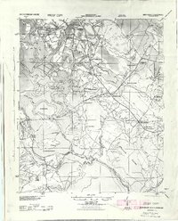 Gum Swamp 1943 topographic map thumbnail