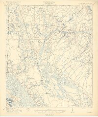 Pineland 1919 topographic map thumbnail