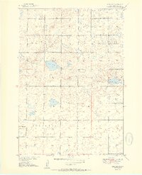 Rice Lake 1951 topographic map thumbnail