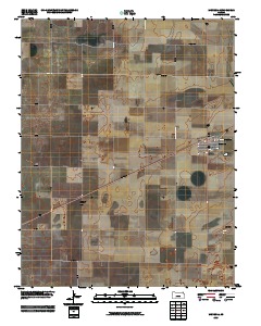 Minneola 2010 topographic map thumbnail