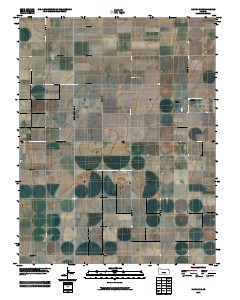 Hickok SE 2009 topographic map thumbnail