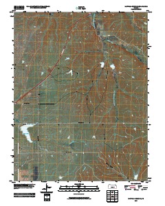 Matfield Green SE 2009 topographic map thumbnail