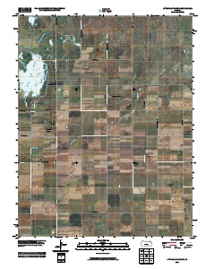 Little Salt Marsh 2009 topographic map thumbnail