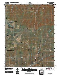 Alta Vista SE 2009 topographic map thumbnail