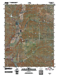 Dexter 2010 topographic map thumbnail