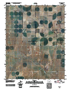 Ryus 2010 topographic map thumbnail