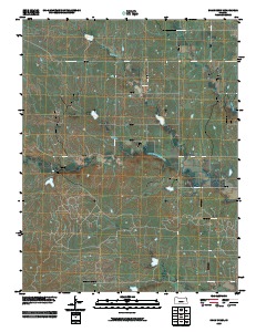Shaw Creek 2009 topographic map thumbnail