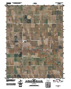 Saint Peter 2010 topographic map thumbnail