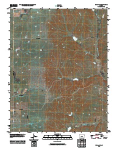 Rosalia NE 2010 topographic map thumbnail