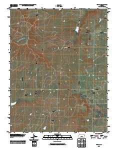 Thrall 2009 topographic map thumbnail