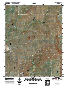 Blue Mound 2010 topographic map thumbnail
