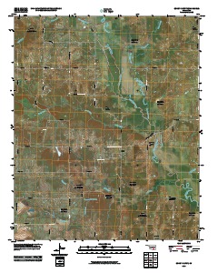 Boggy Depot 2010 topographic map thumbnail